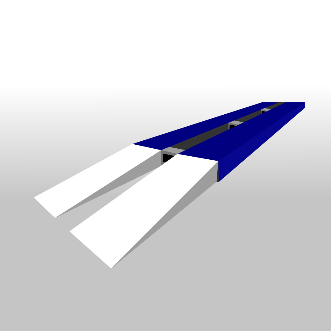 BTKx2 Model